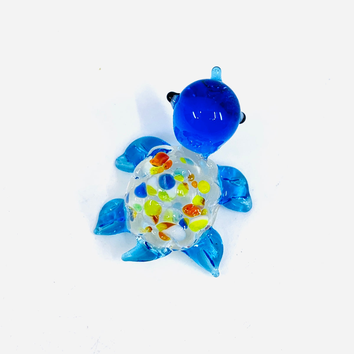 Glass Spotted Turtle