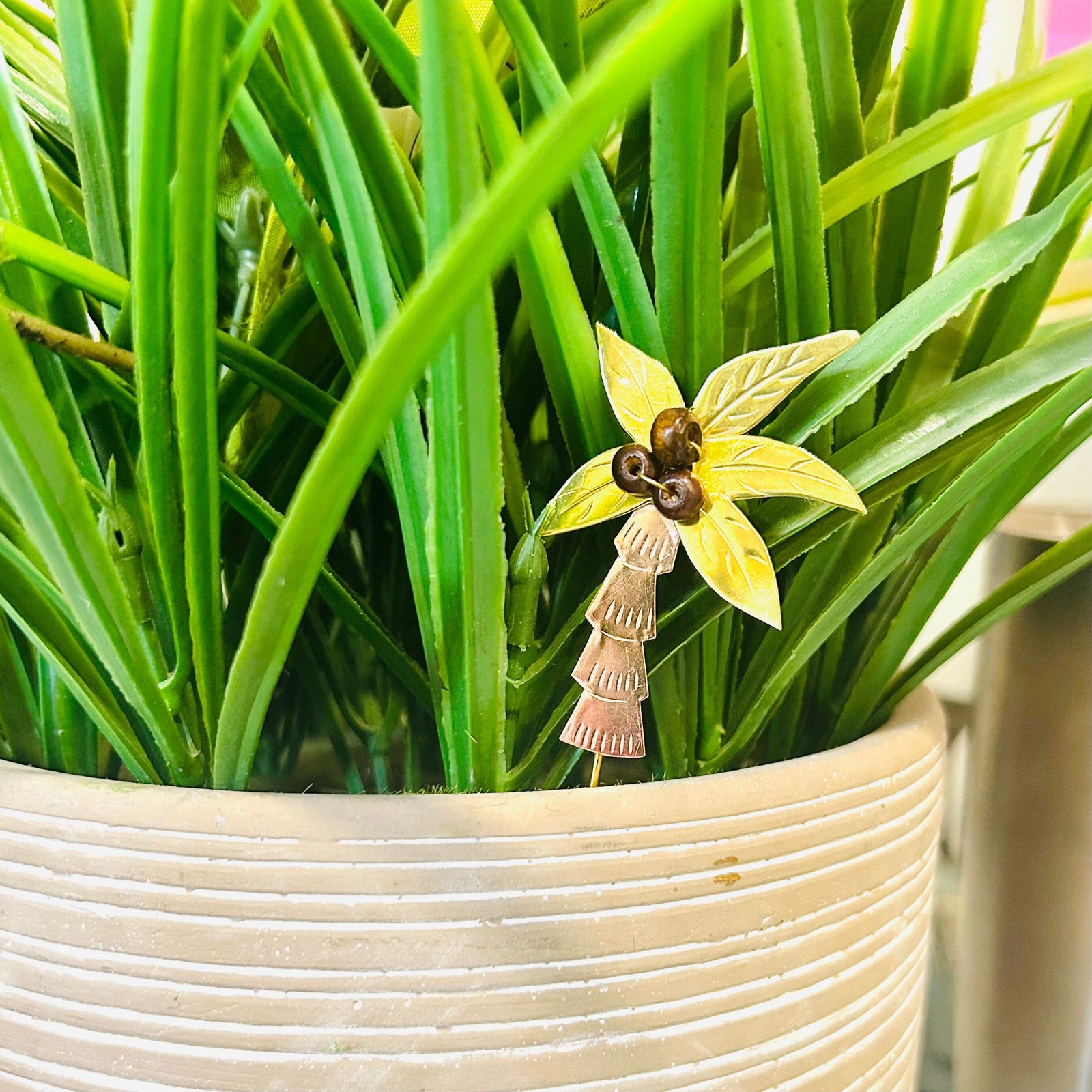 Plant Pals 27, Paradise Palm Miniature Pilgrim Imports 