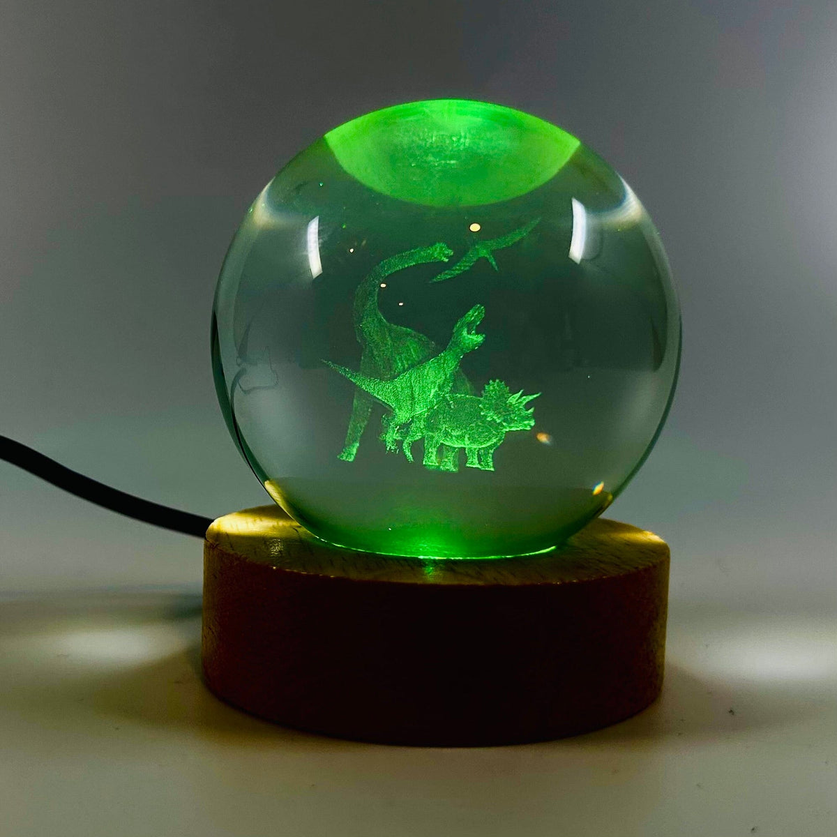 Light Up Etched Glass Sphere décor - T Rex 29TONIGHT 