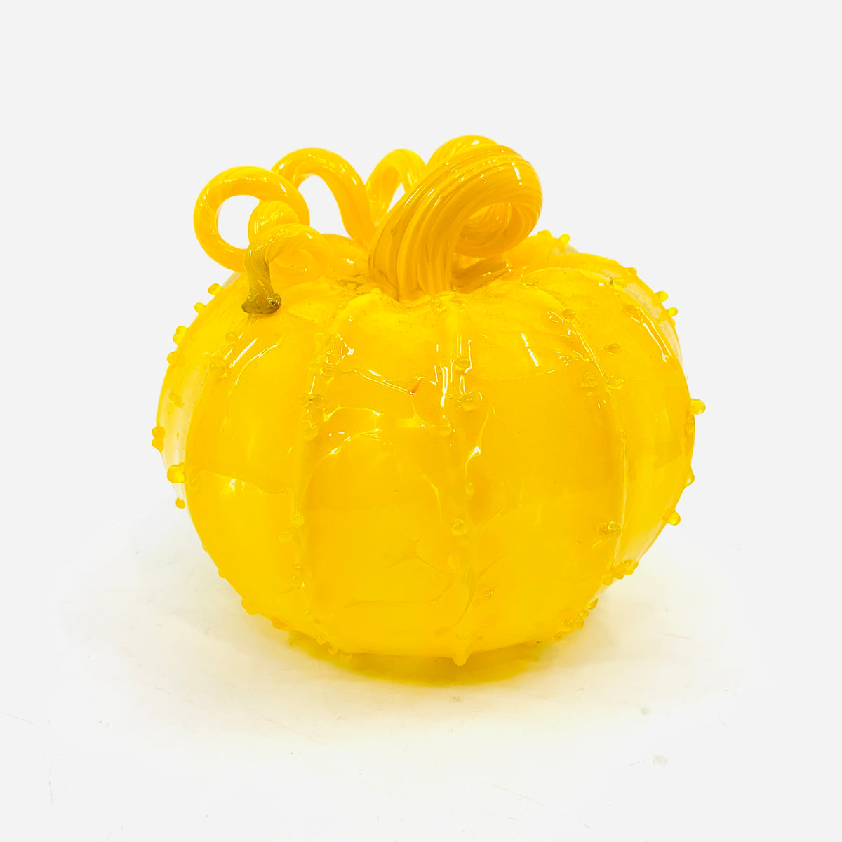 Daily Pumpkin 1873 Squat