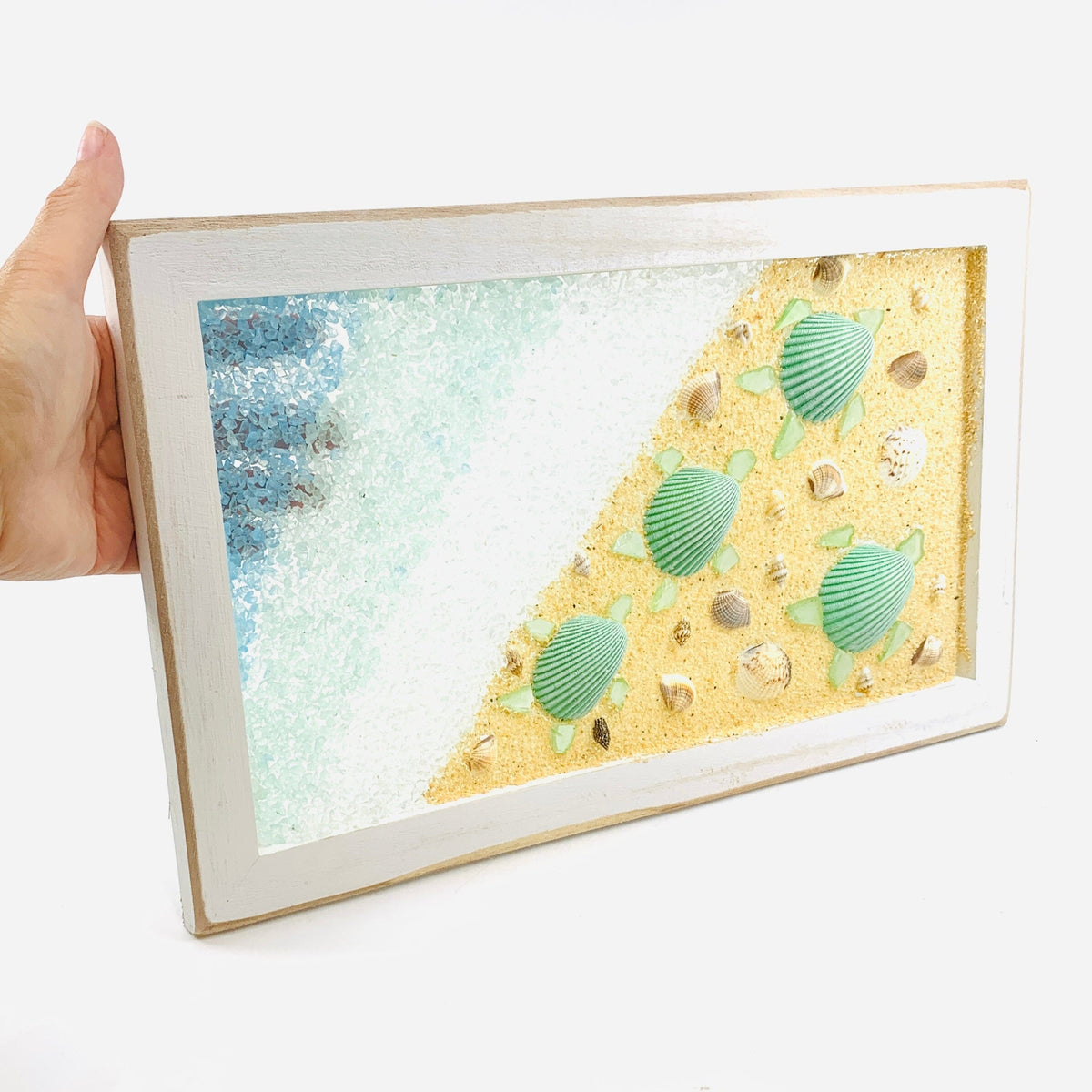 Sea Turtle Shadow Box Frame