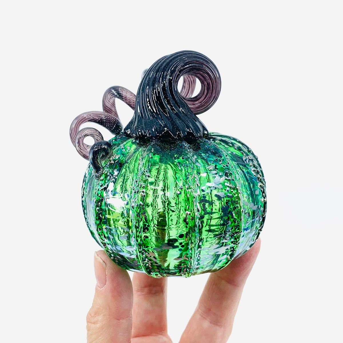 Daily Pumpkin 1904 Mini