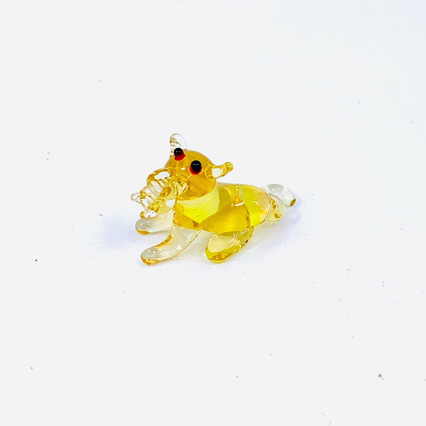 Teeny Teensie Coyote JACO 