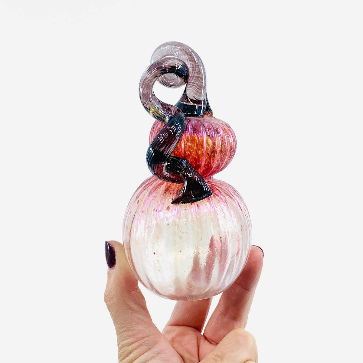 Daily Pumpkin 144 Mini Gourd