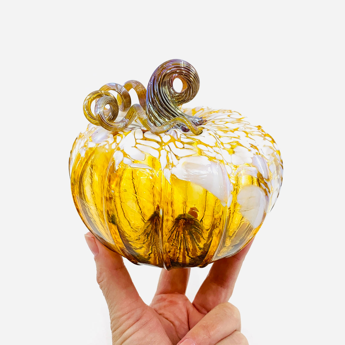 Daily Pumpkin 3642 Fall Squat