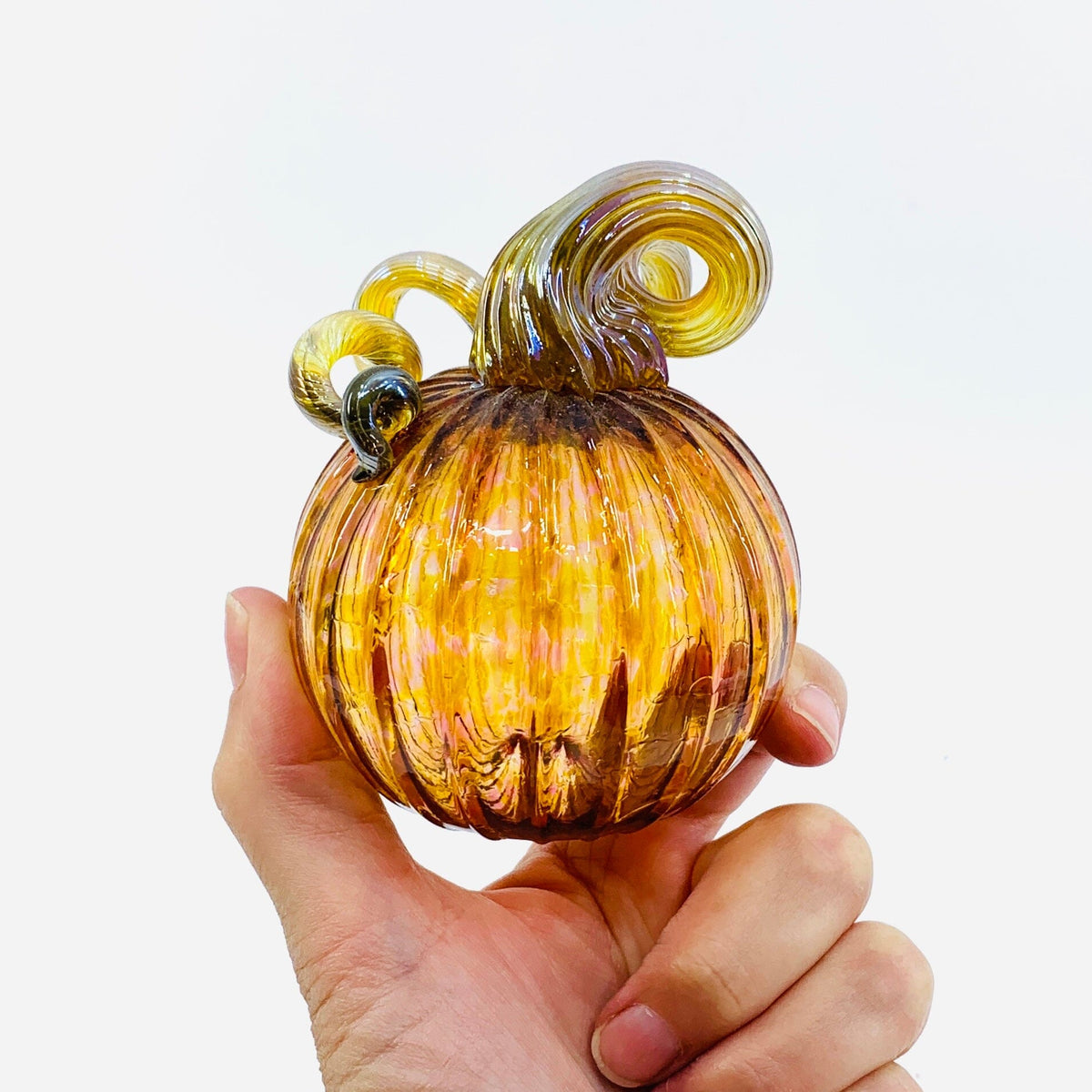 Daily Pumpkin 2615 Mini Gabby Luke Adams Glass Blowing Studio 