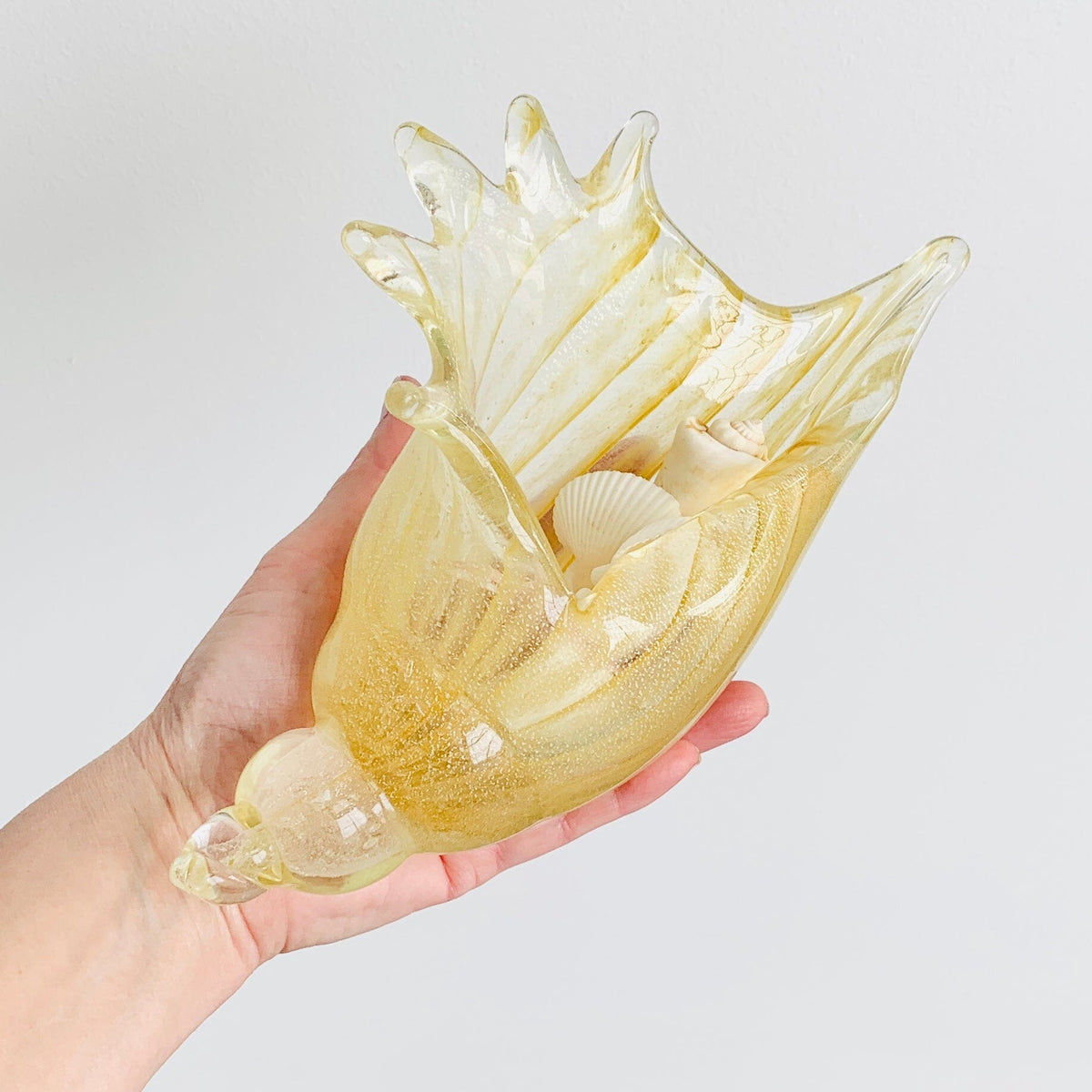 Natural Glass Conch Shell Decor Beachcombers 