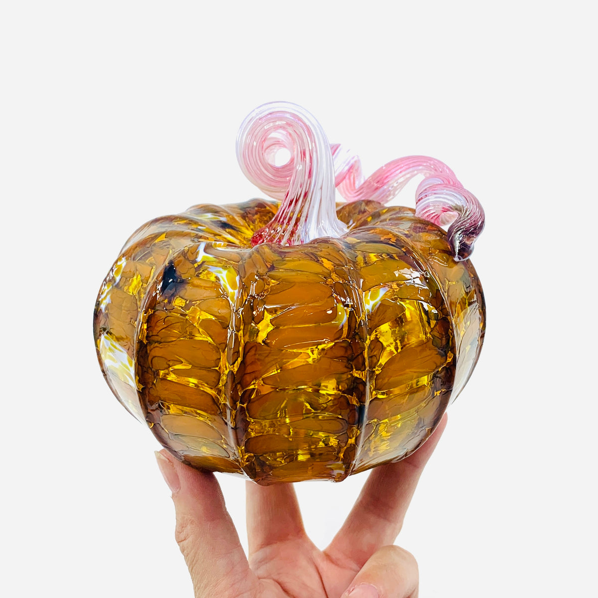 Daily Pumpkin 3349 Fall Squat