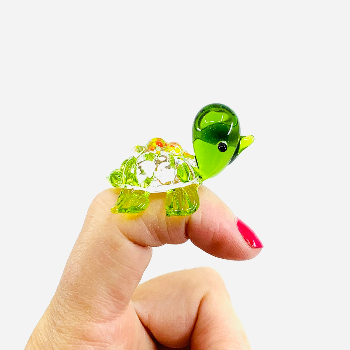 Glass Spotted Turtle