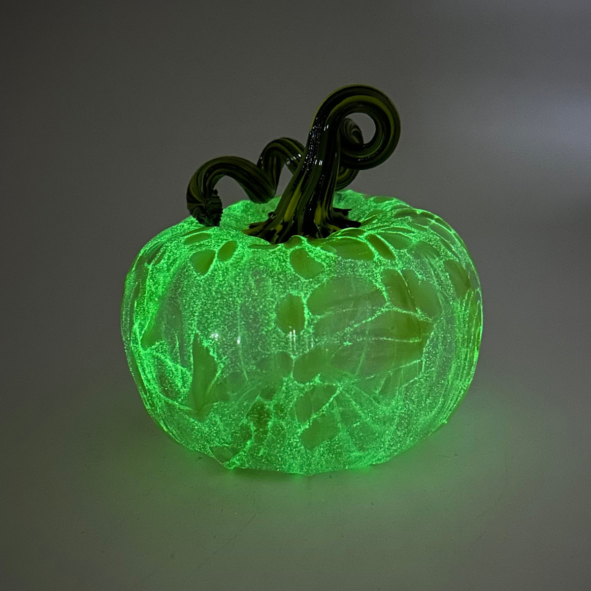 Daily Glow Pumpkin 3849 Fall Jumbo Squat