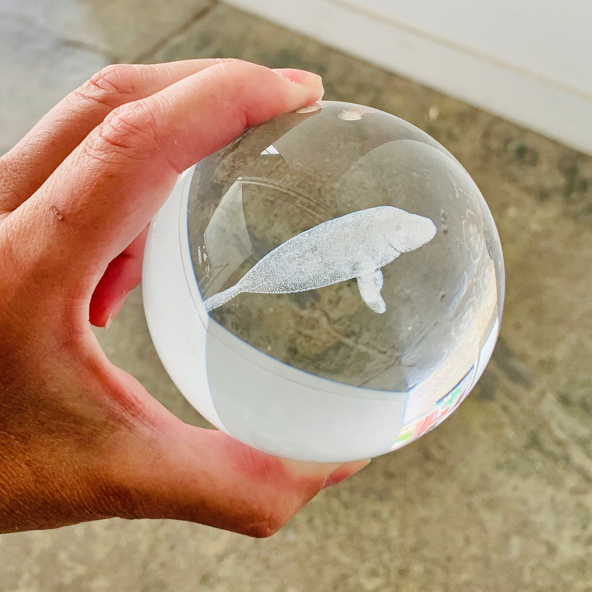 Manatee Rotating Crystal Ball Lamp CALLA PRODUCTS 