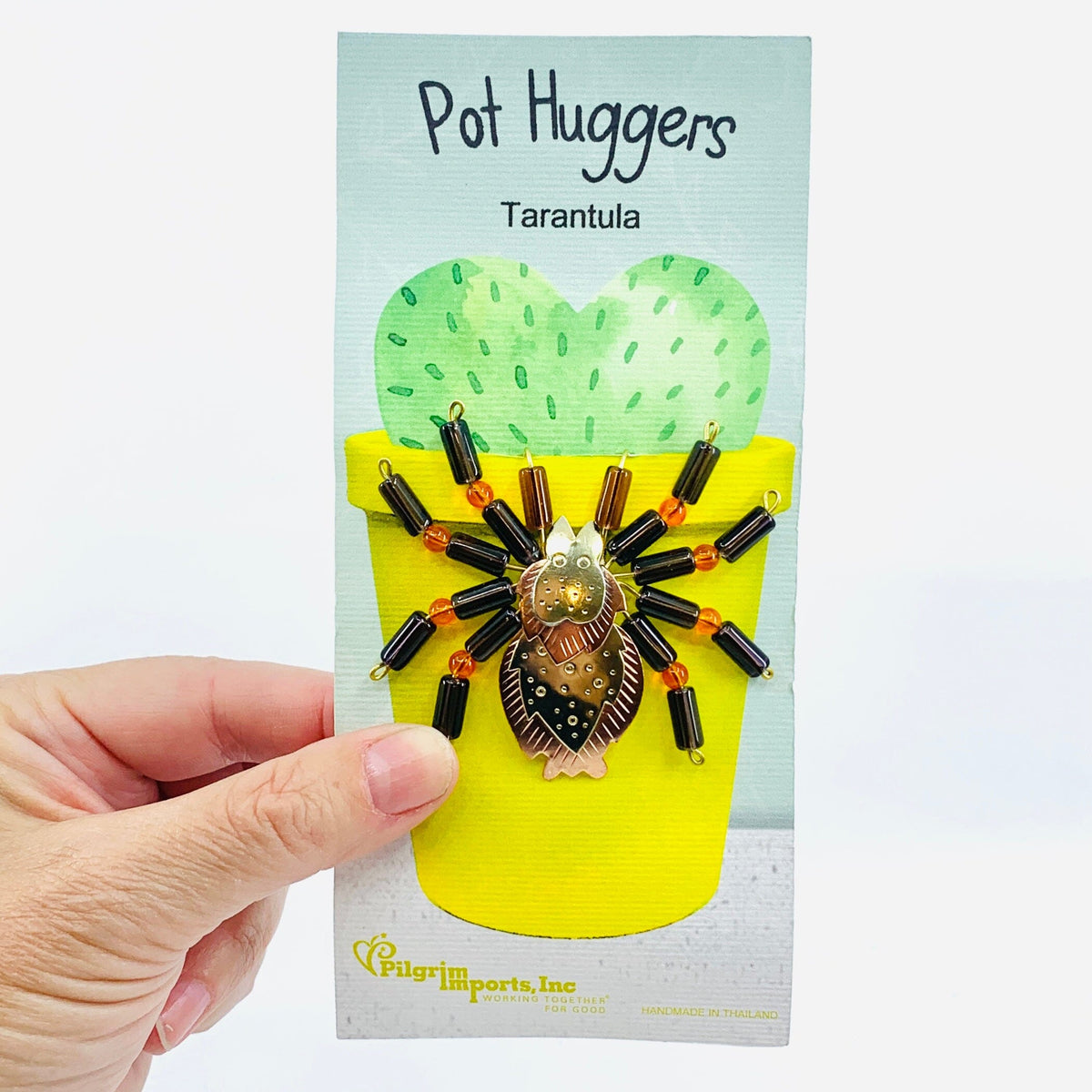 Plant Huggers 34, Tarantula Miniature Pilgrim Imports 