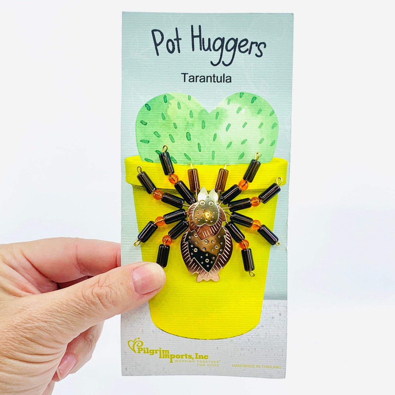 Plant Huggers 34, Tarantula Miniature Pilgrim Imports 