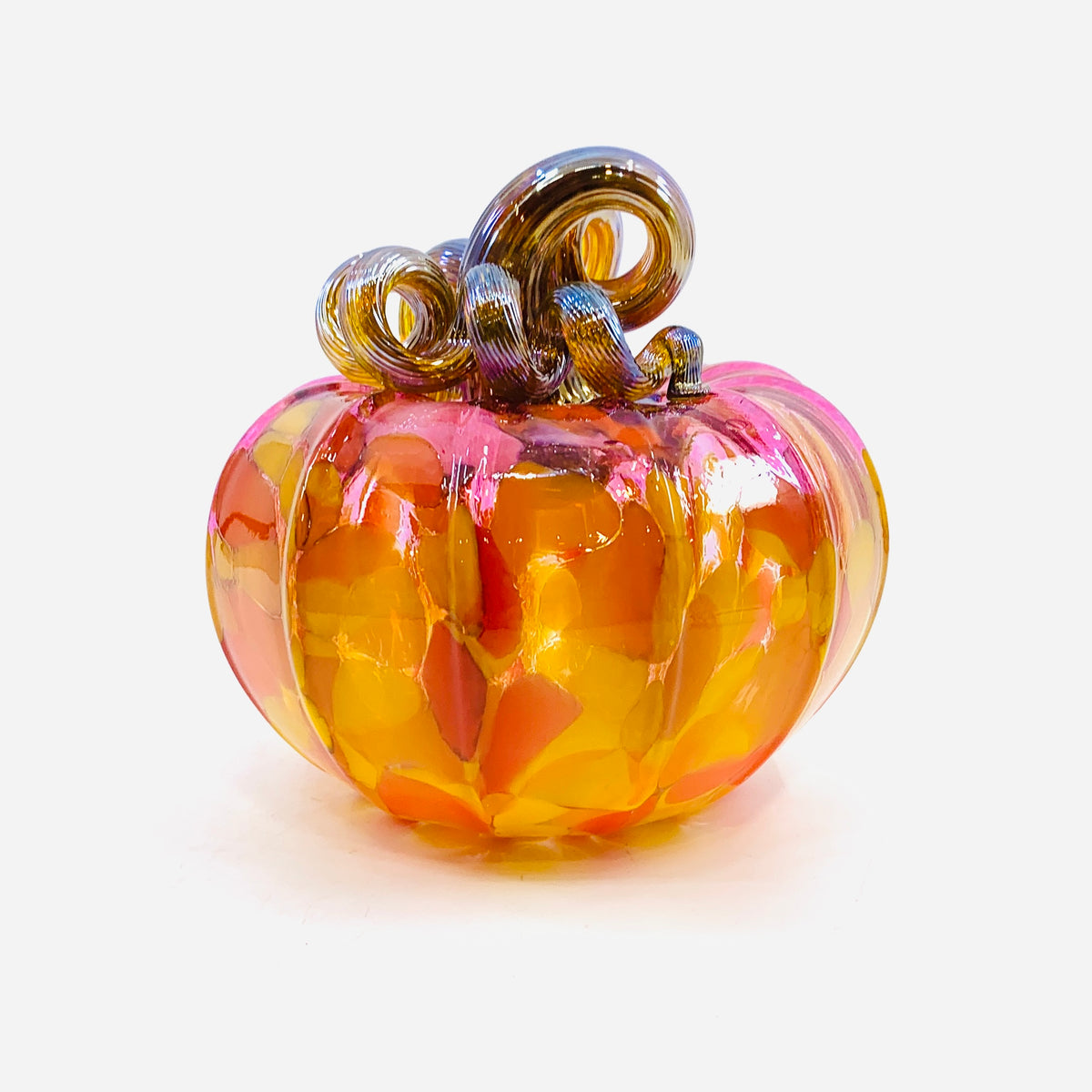 Daily Pumpkin 3690 Fall Squat