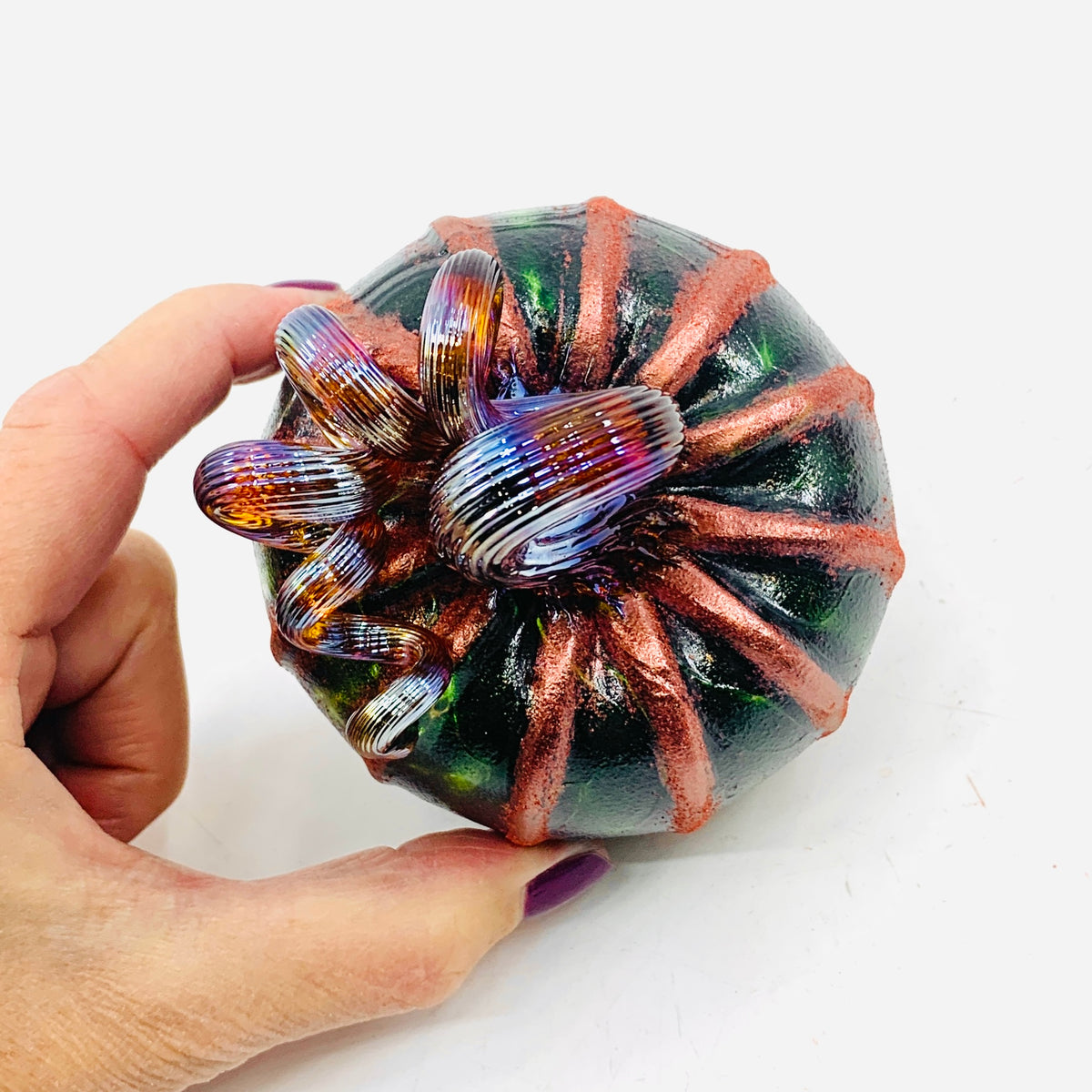 Best Pumpkin of The Day 1013 Shimmer Mini