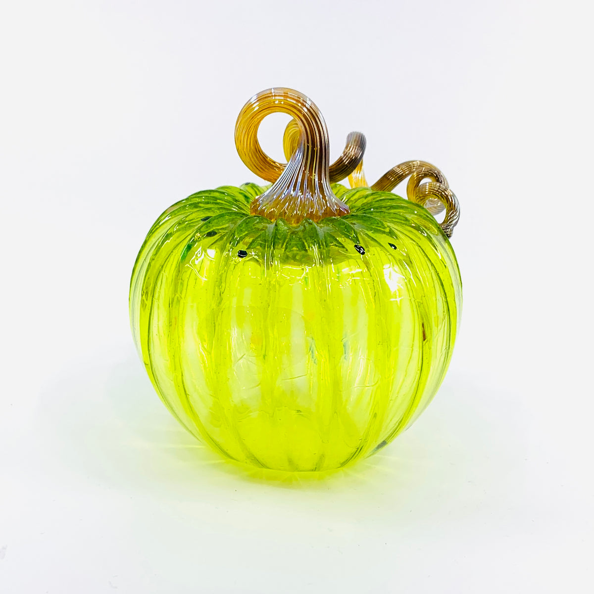Daily Pumpkin 2061 Mini
