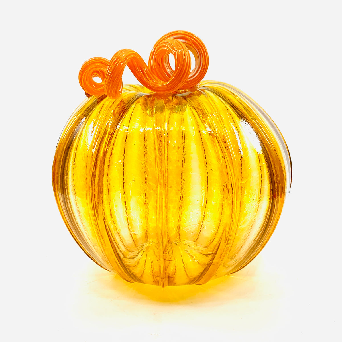 Daily Pumpkin 3330 Fall Large