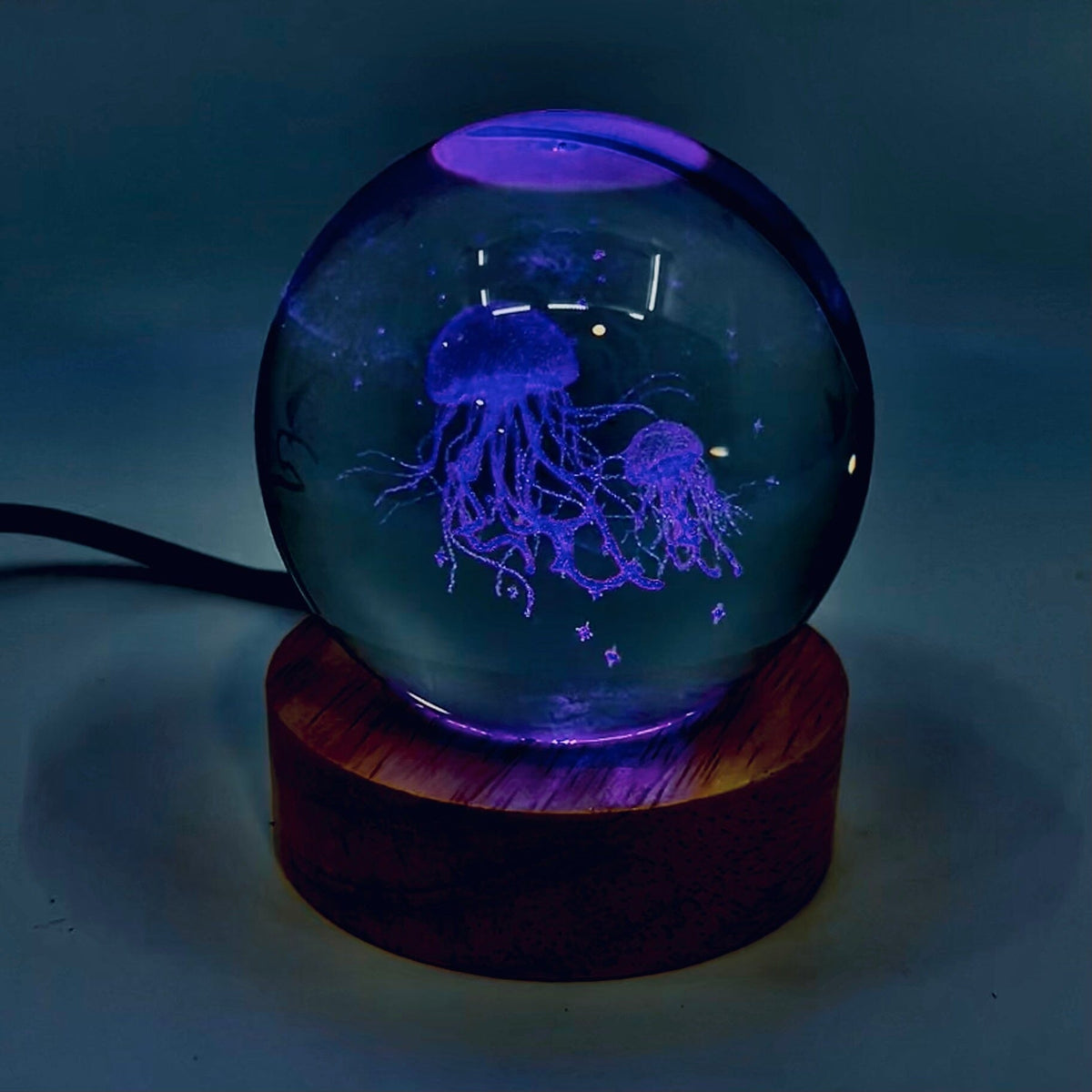 Light Up Etched Glass Sphere décor - Jellyfish 29TONIGHT 