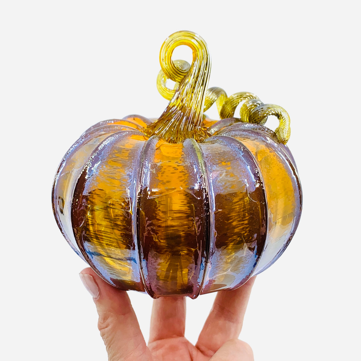 Daily Pumpkin 1147 Squat