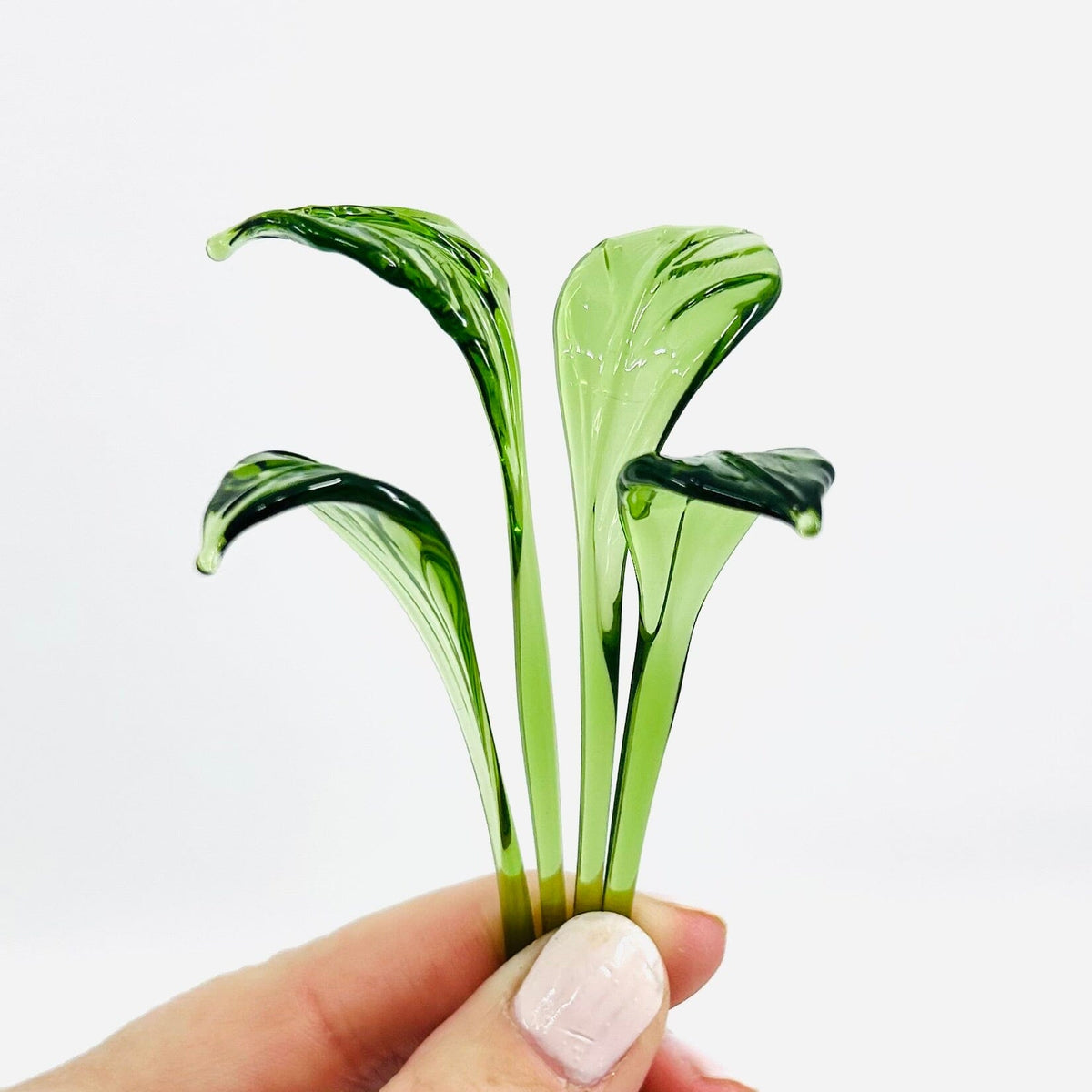 Tiny Leaves - Build Your Own Bouquet Alex Curled Leaf 