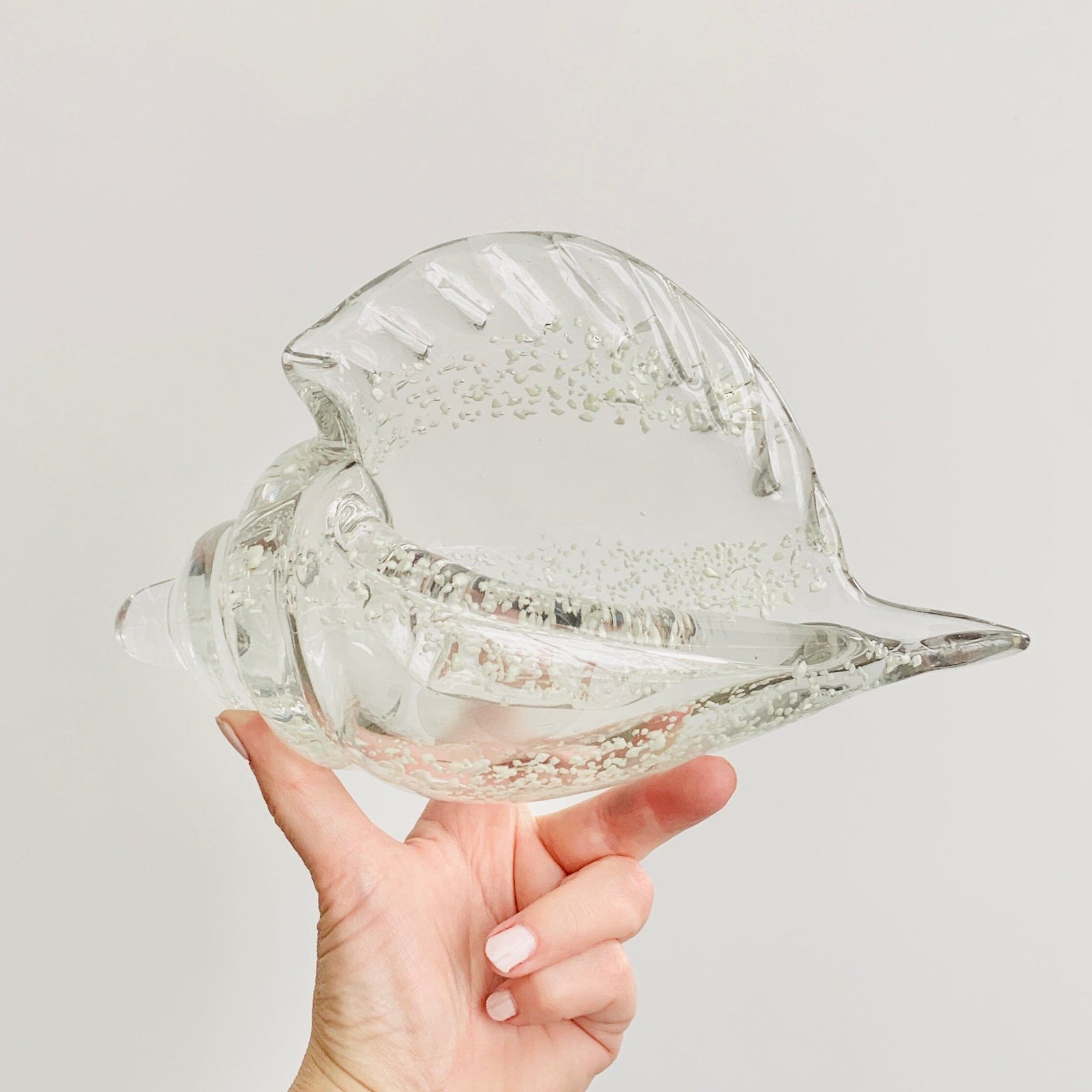 Glow in The Dark Conch Shell Decor Beachcombers 