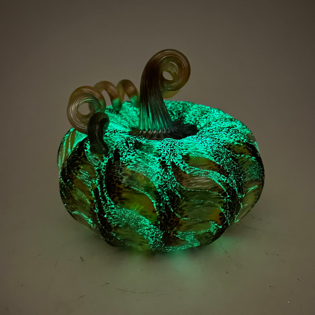 Daily Glow Pumpkin 895 Squat