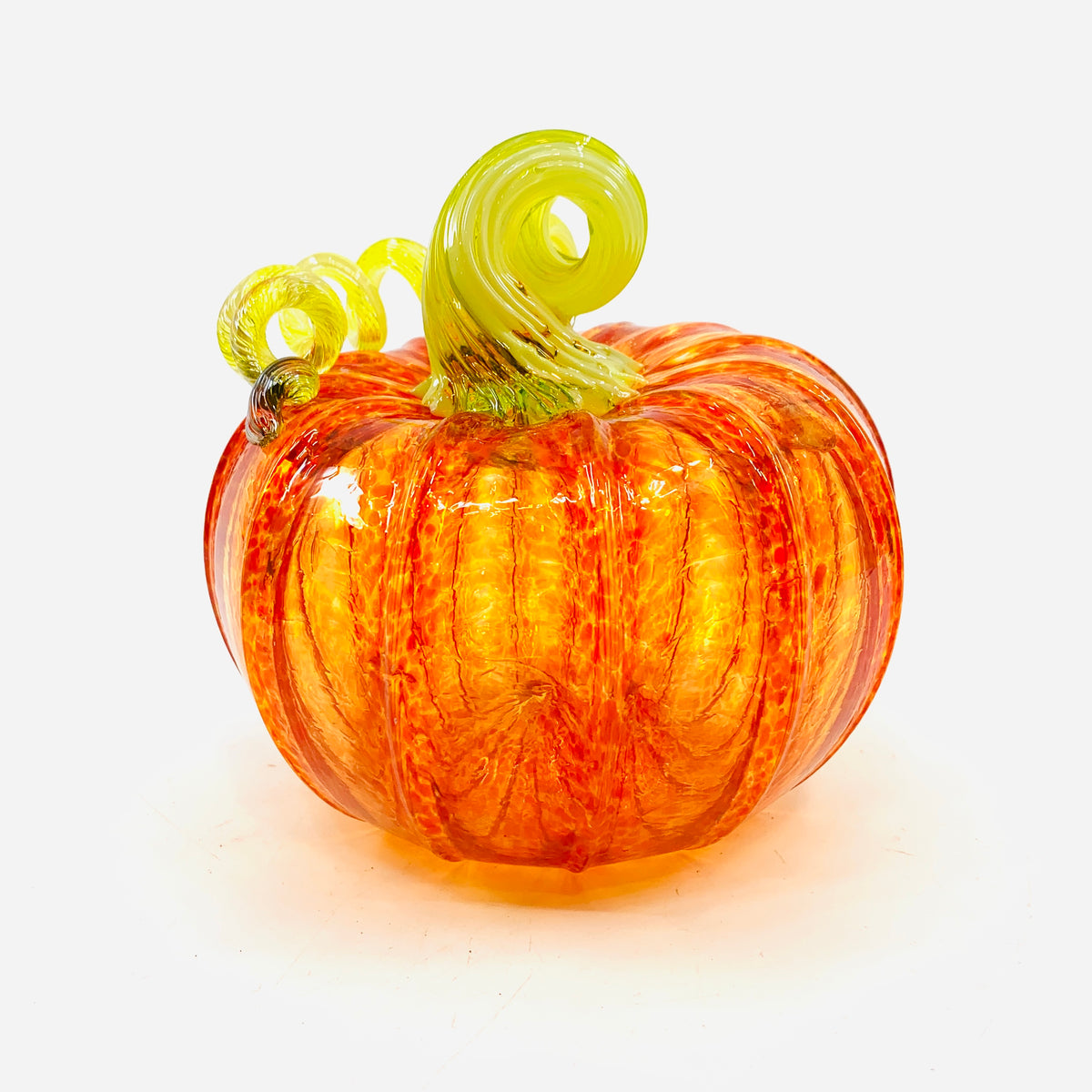 Daily Pumpkin 3652 Fall Squat