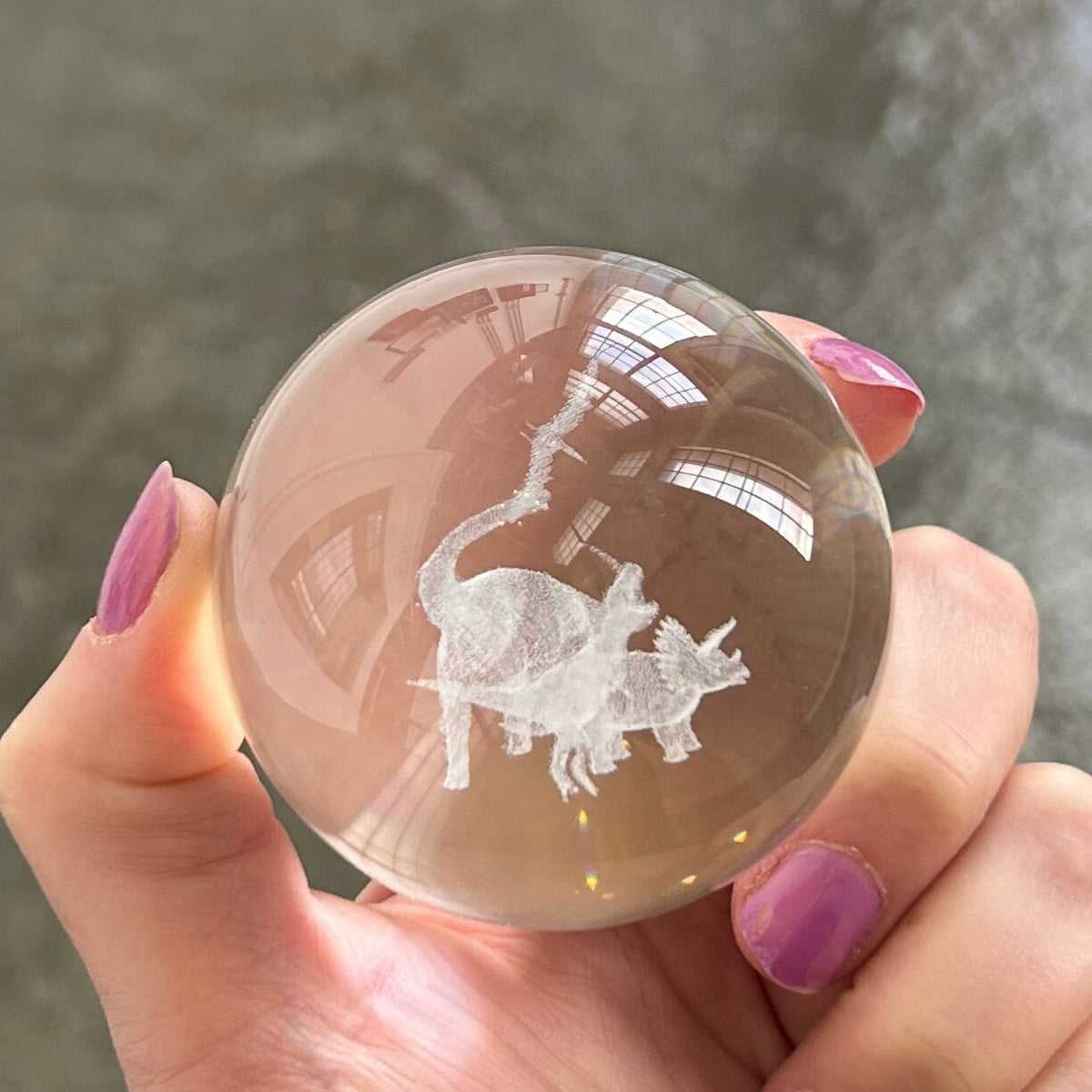 Light Up Etched Glass Sphere décor - T Rex 29TONIGHT 