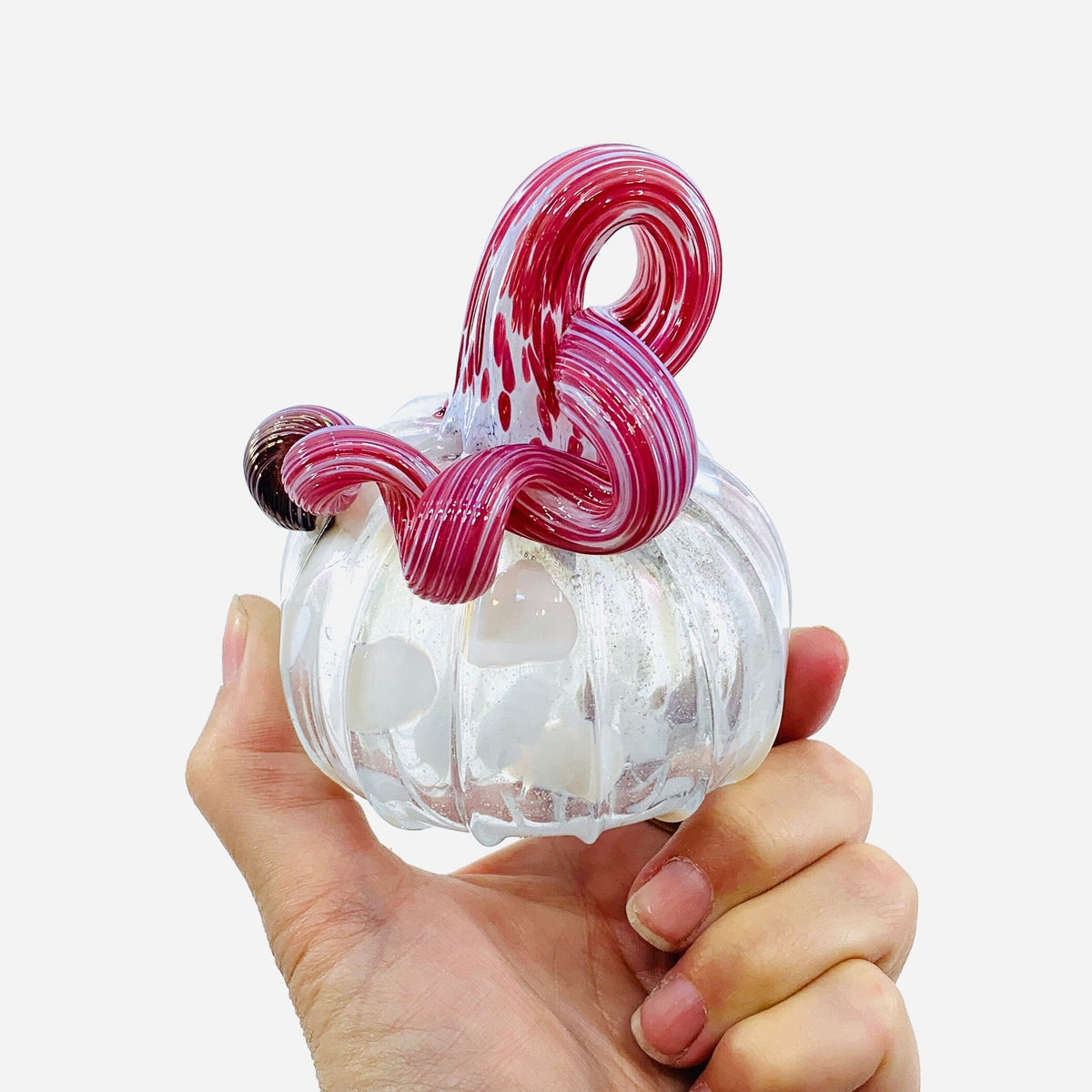 Daily Pumpkin 2411 Mini