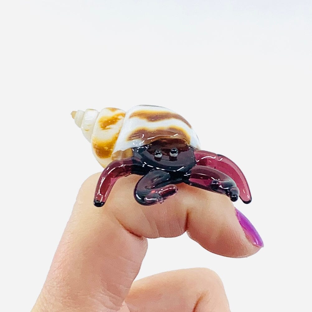 Hermit Crab, Purple Decor Chesapeake Bay 