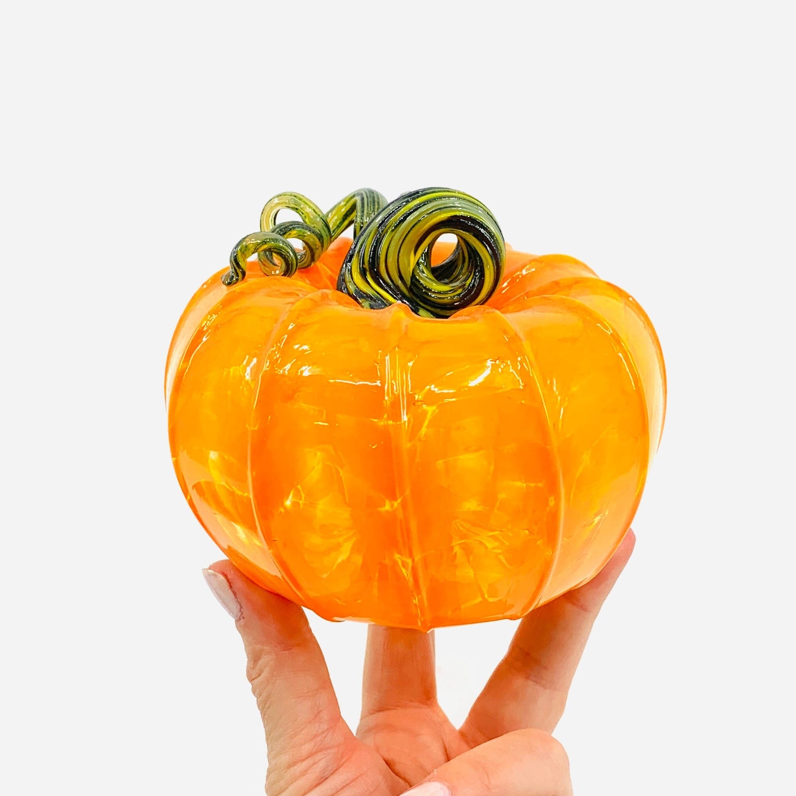 Daily Pumpkin 3768 Squat Gabby Luke Adams Glass Blowing Studio 