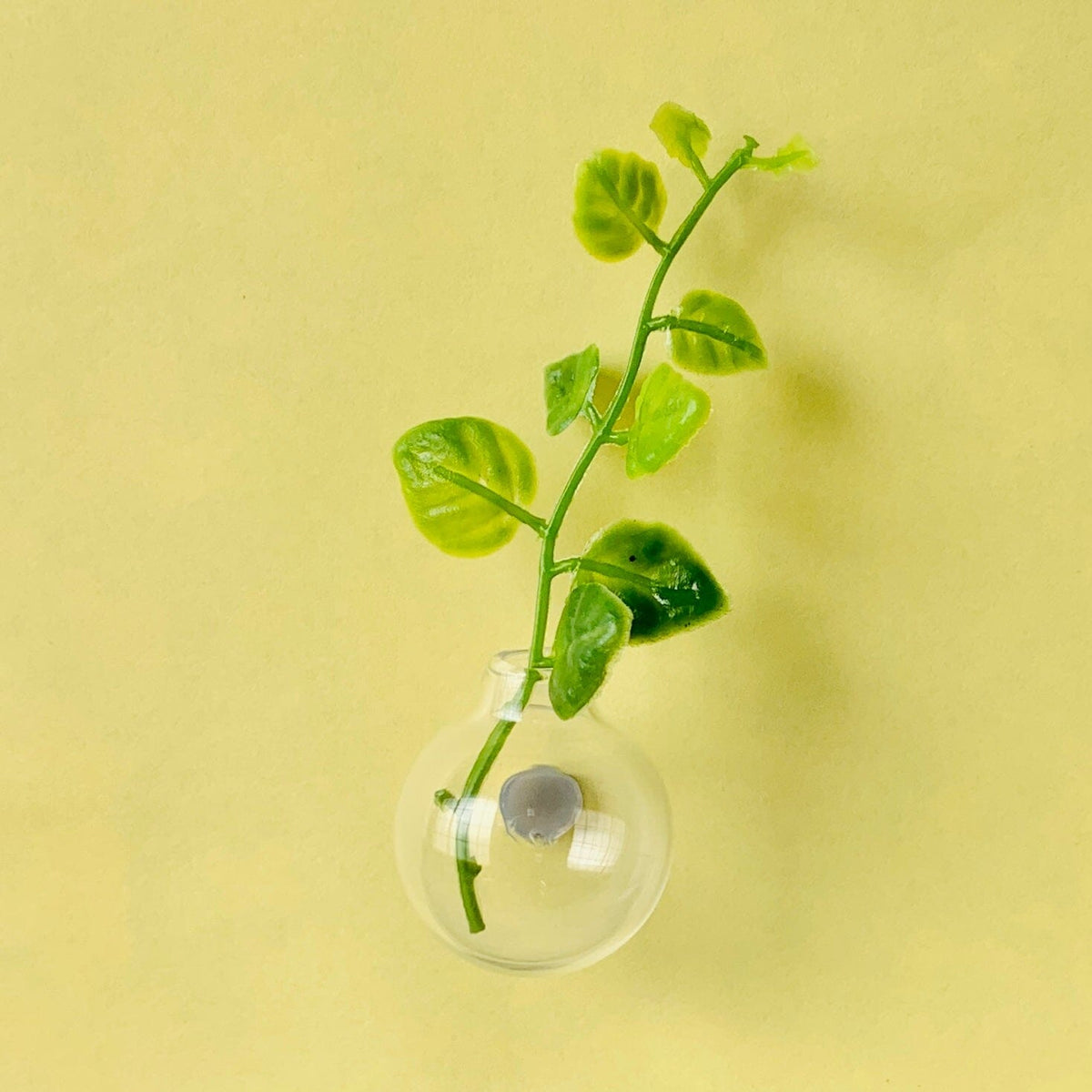 Mini Magnet Vase Miniature - 