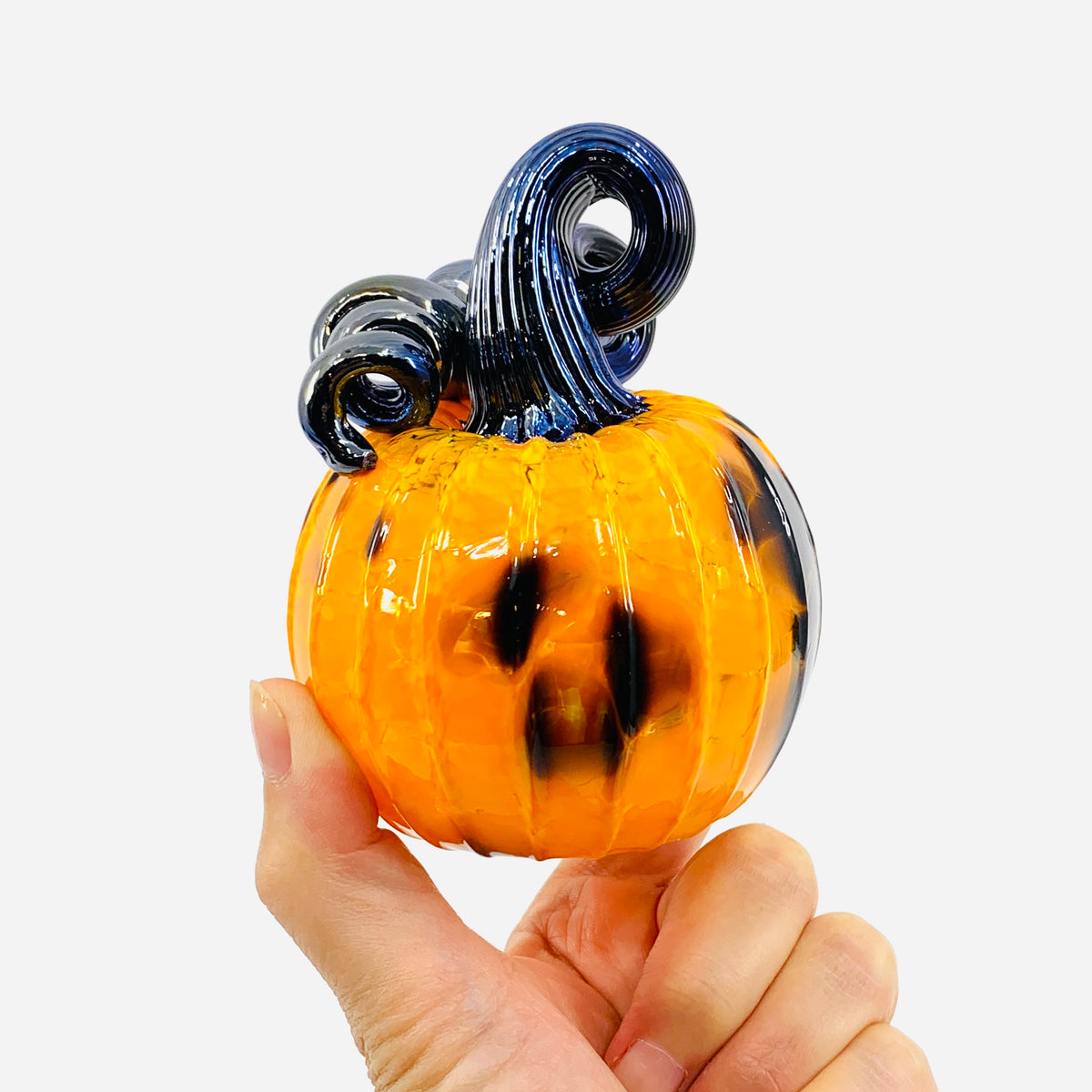 Daily Pumpkin 3298 Fall Mini
