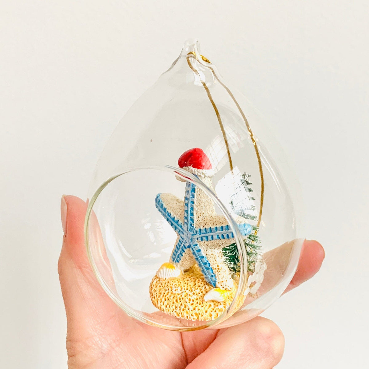 Santa Sea Star Globe Ornament Decor Beachcombers 