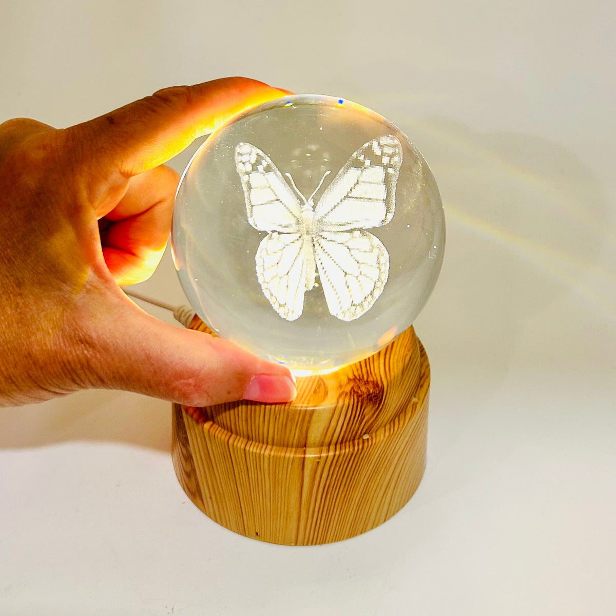 Butterfly Rotating Crystal Ball Lamp CALLA PRODUCTS 