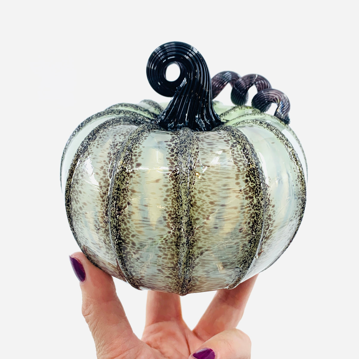 Daily Pumpkin 950 Squat