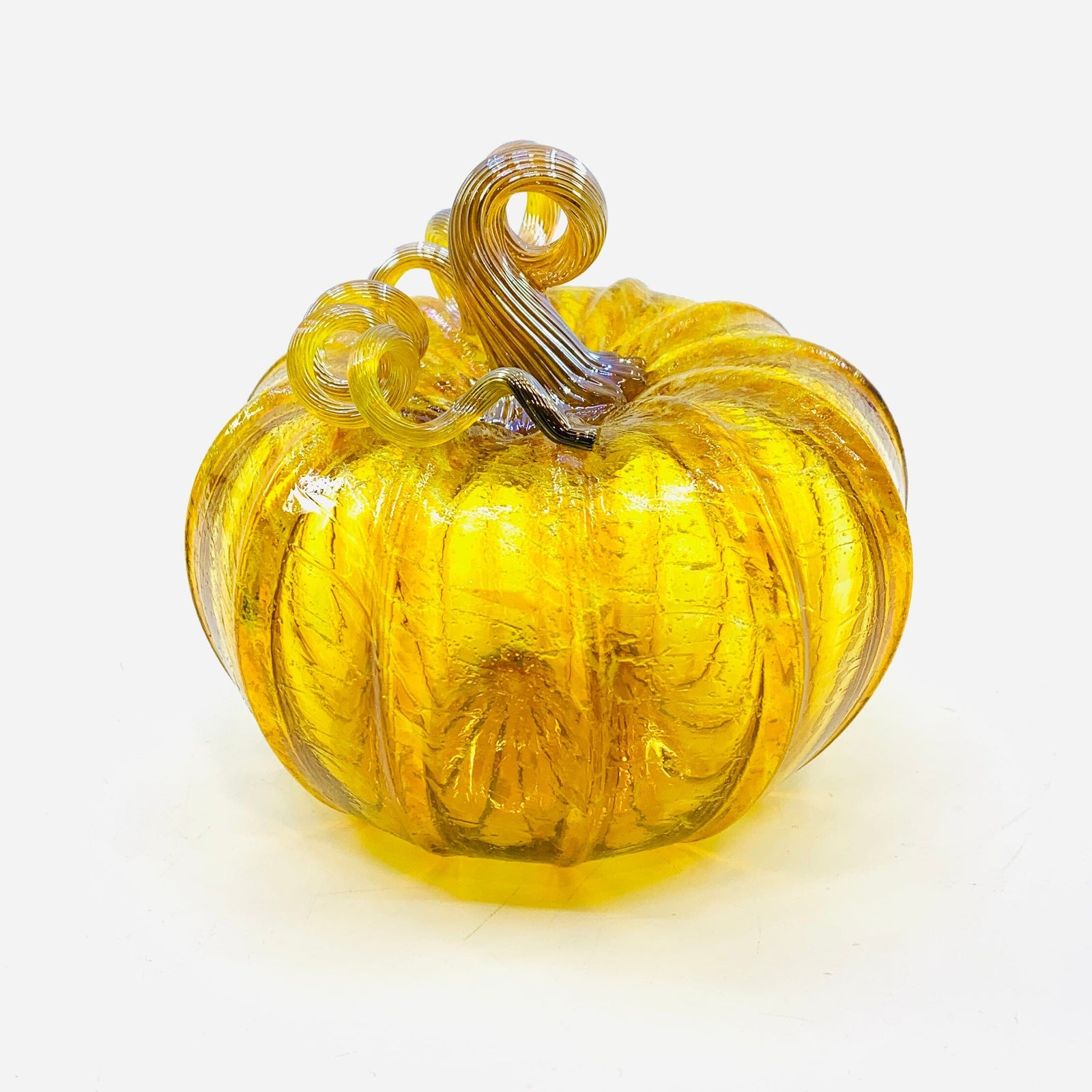 Daily Pumpkin 3589 Fall Squat Gabby Luke Adams Glass Blowing Studio 