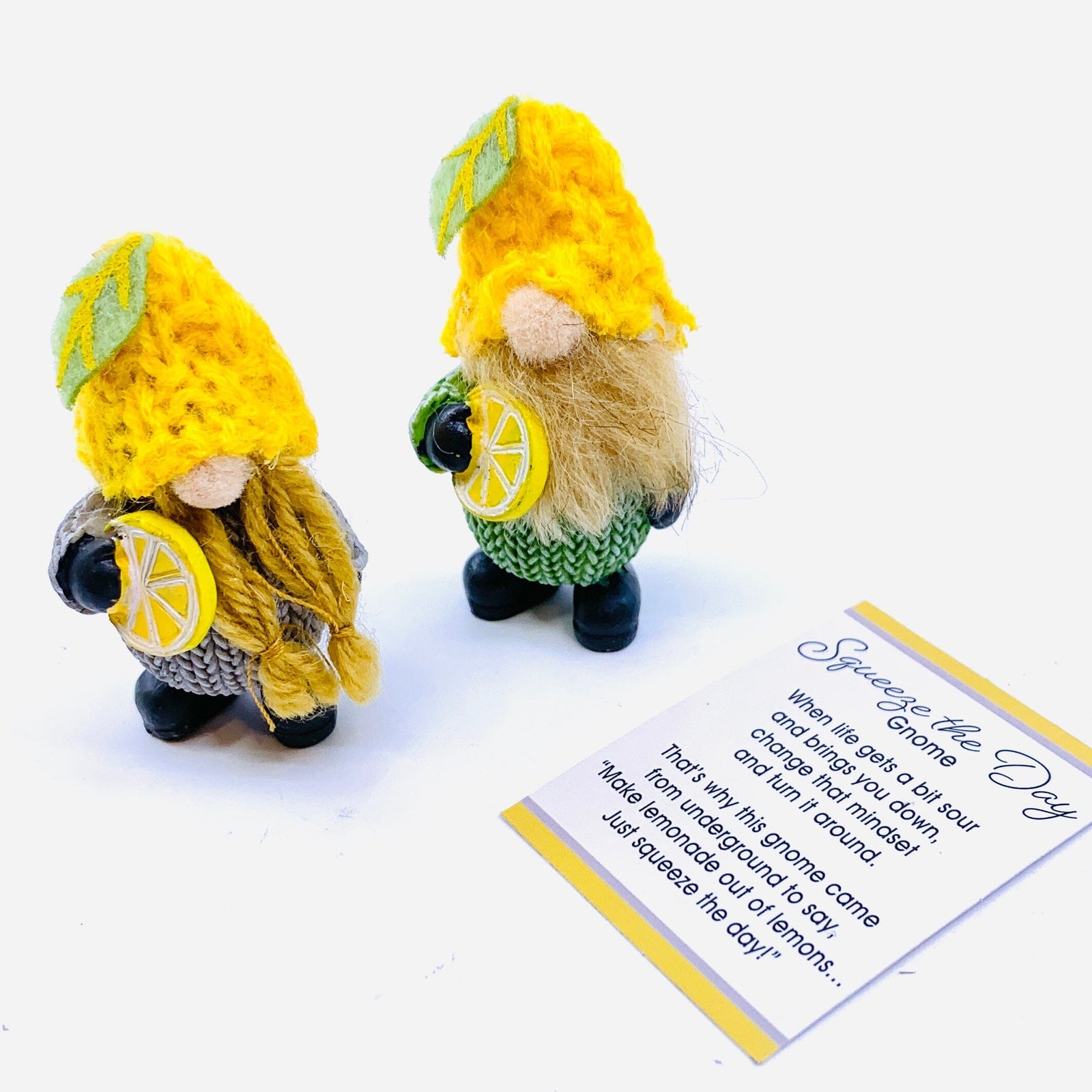 Squeeze The Day Gnome PT90 Miniature GANZ 