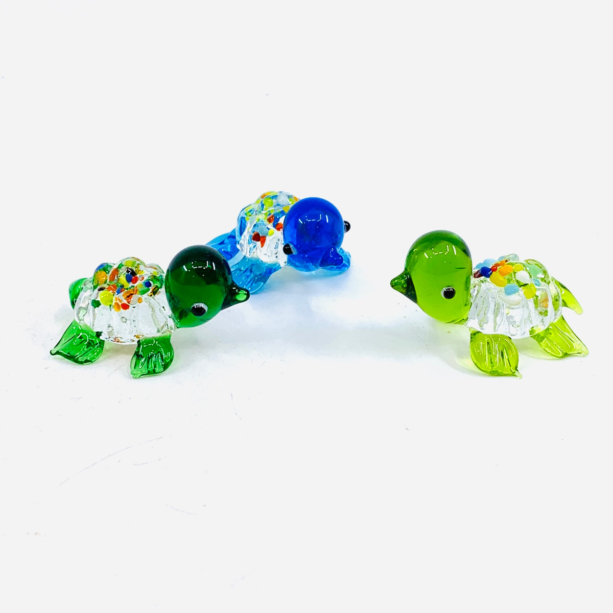 Glass Spotted Turtle