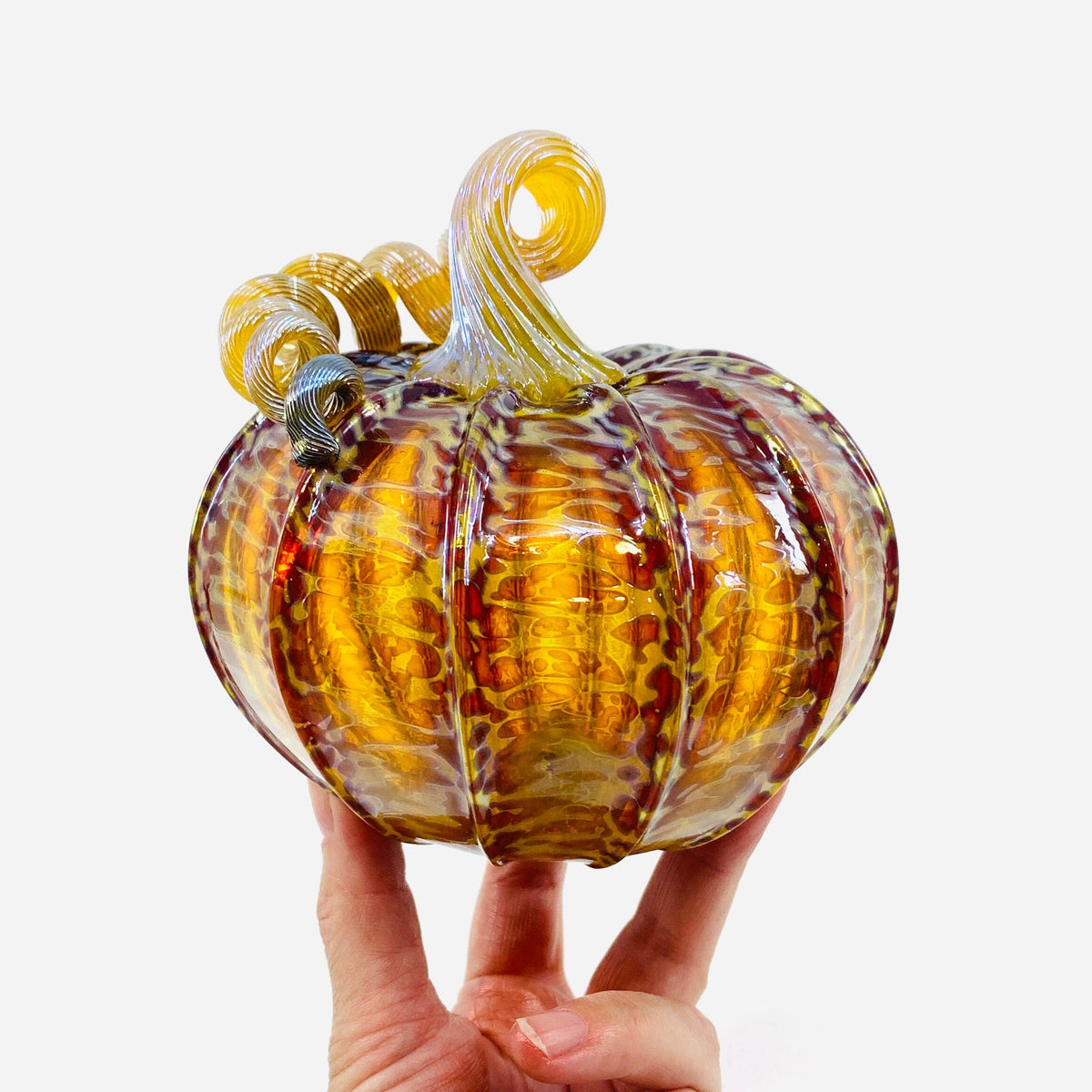 Daily Pumpkin 3667 Fall Squat