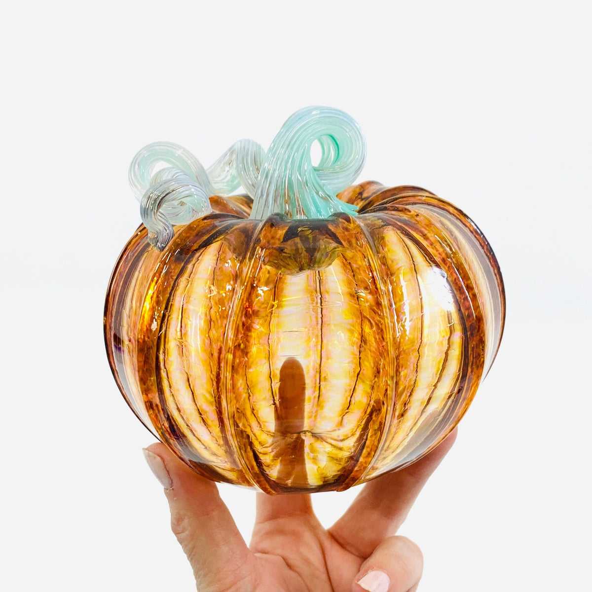 Daily Pumpkin 3743 Squat Gabby Luke Adams Glass Blowing Studio 