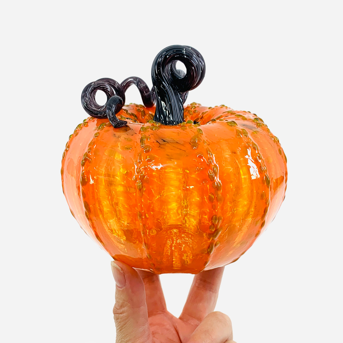 Daily Pumpkin 3785 Fall Squat