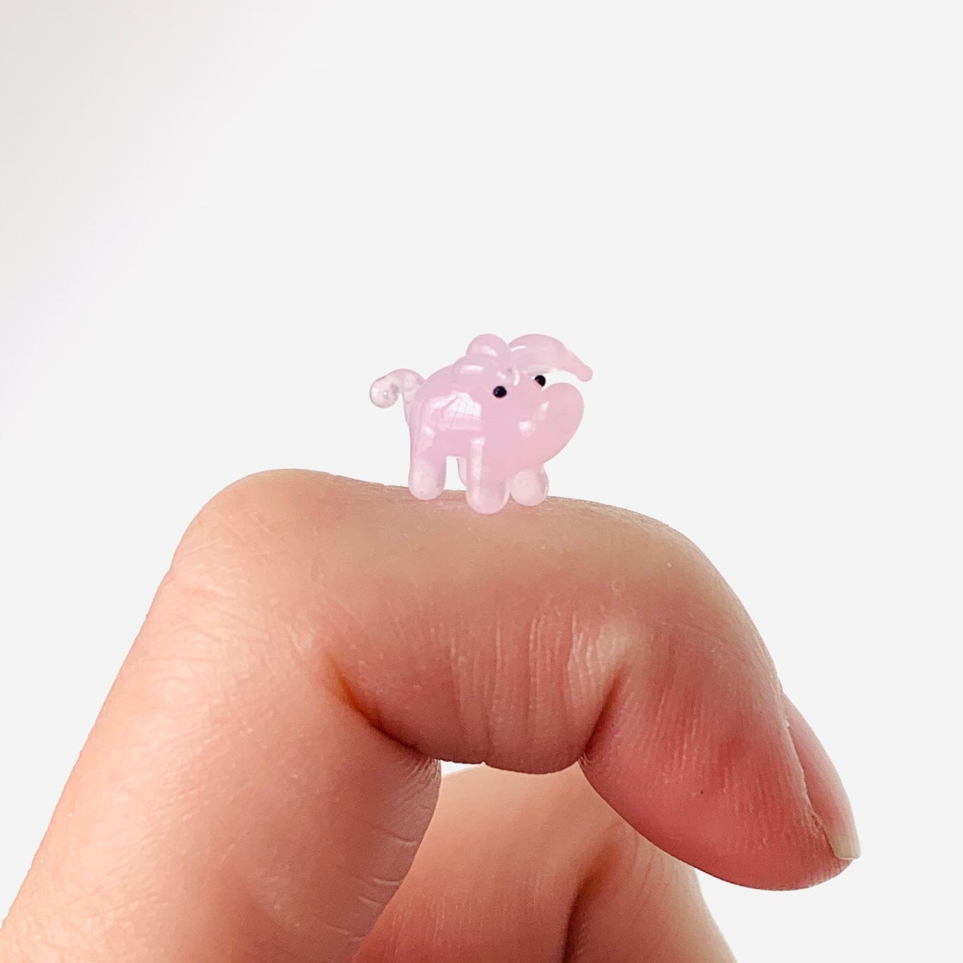 Teeny Teensie Piglet 69 JACO 