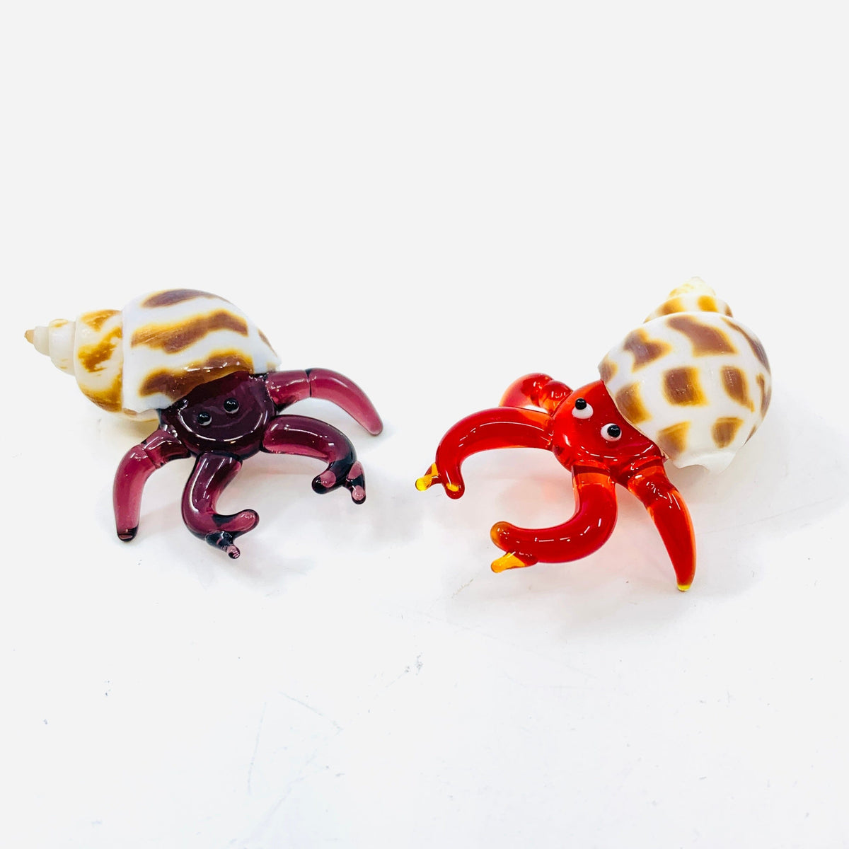 Hermit Crab, Red Decor Chesapeake Bay 