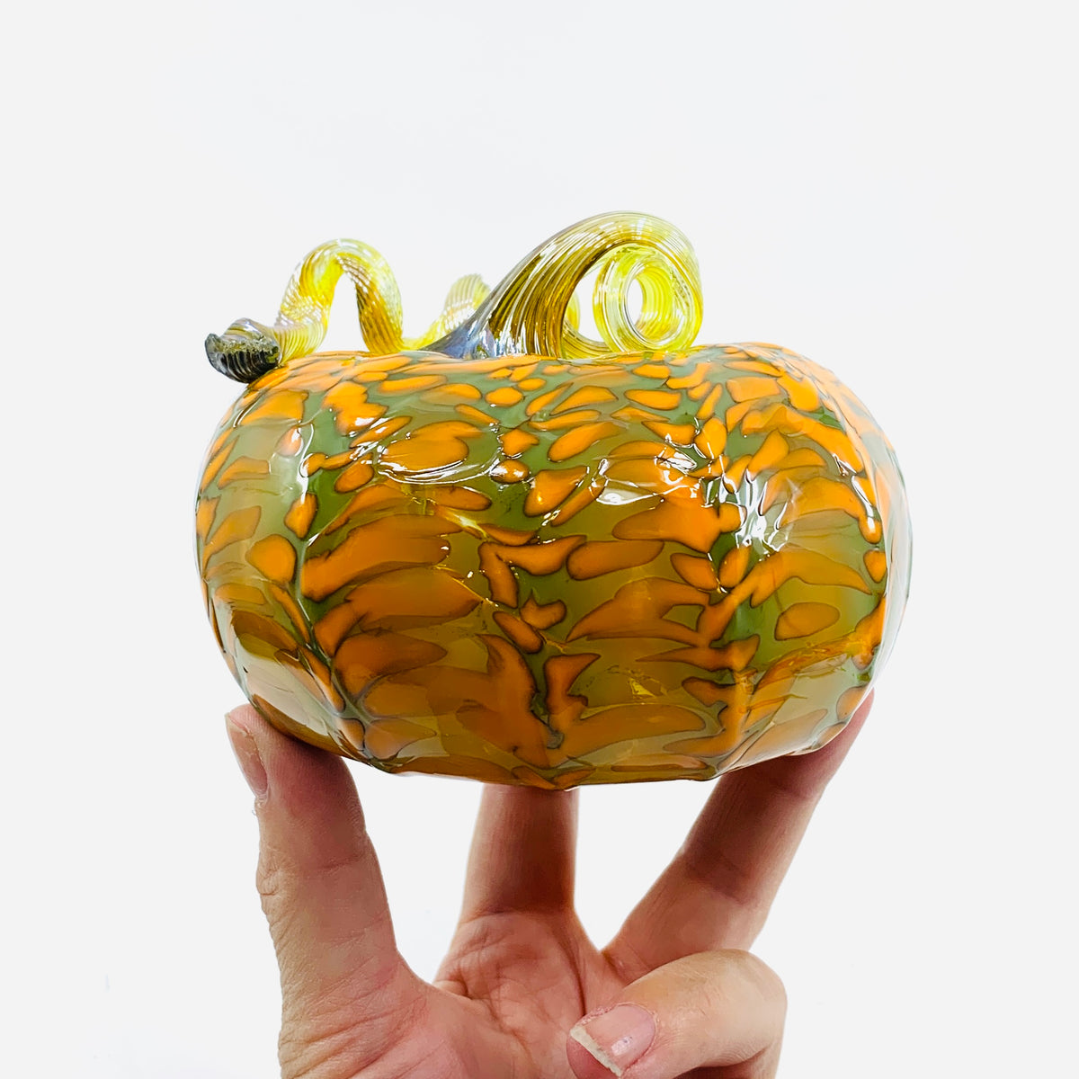 Daily Pumpkin 3510 Oops Squat