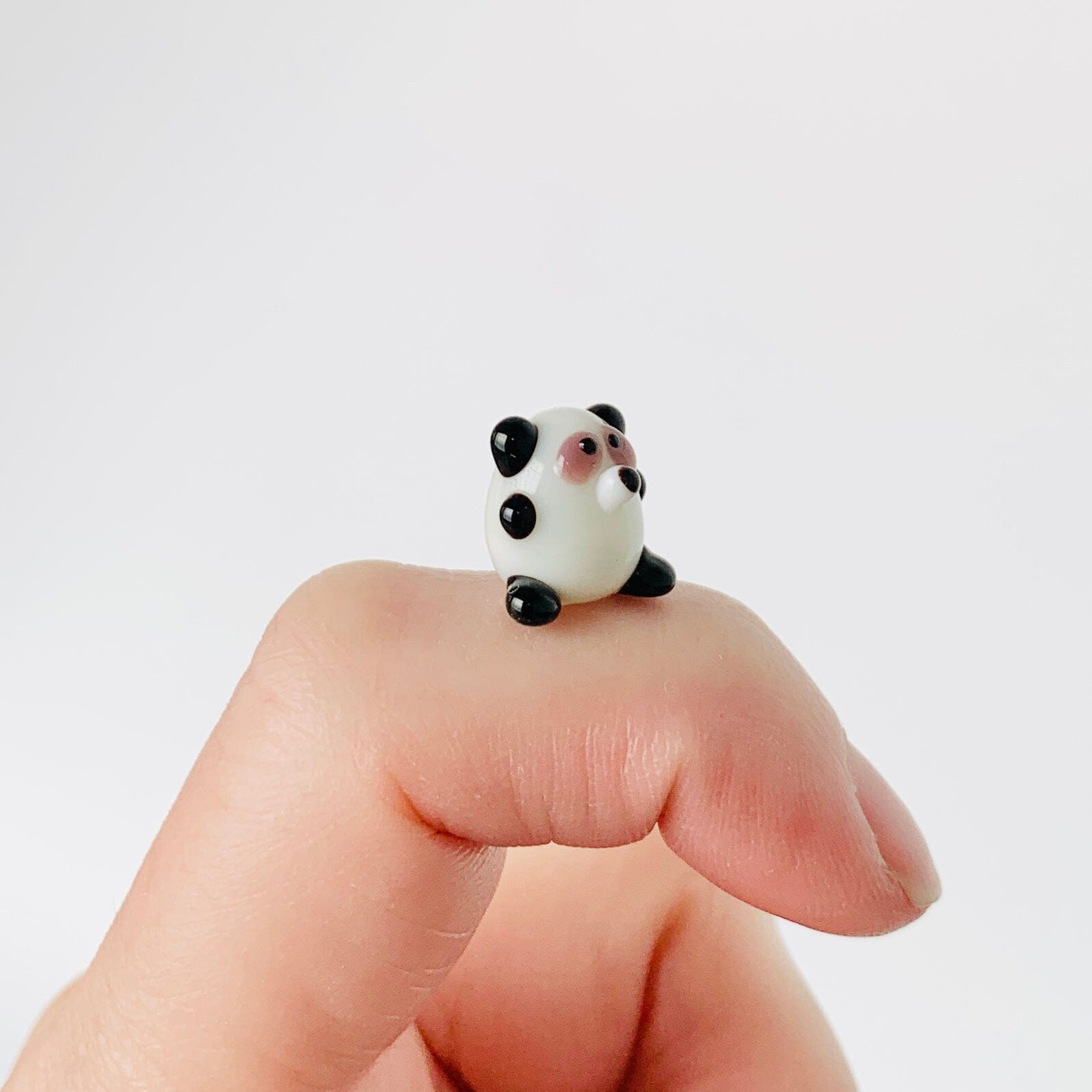 Teeny Teensie Cutie 60 JACO 