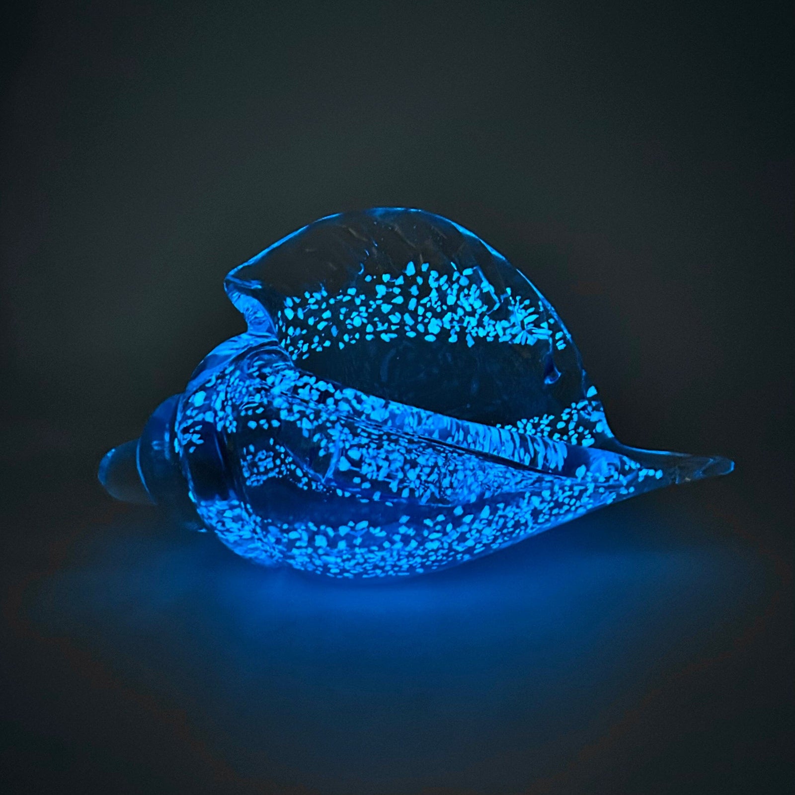 Glow in The Dark Conch Shell Decor Beachcombers 