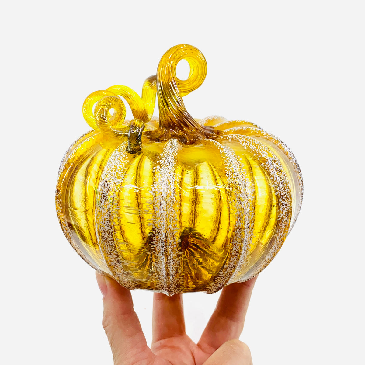 Daily Pumpkin 3640 Fall Squat