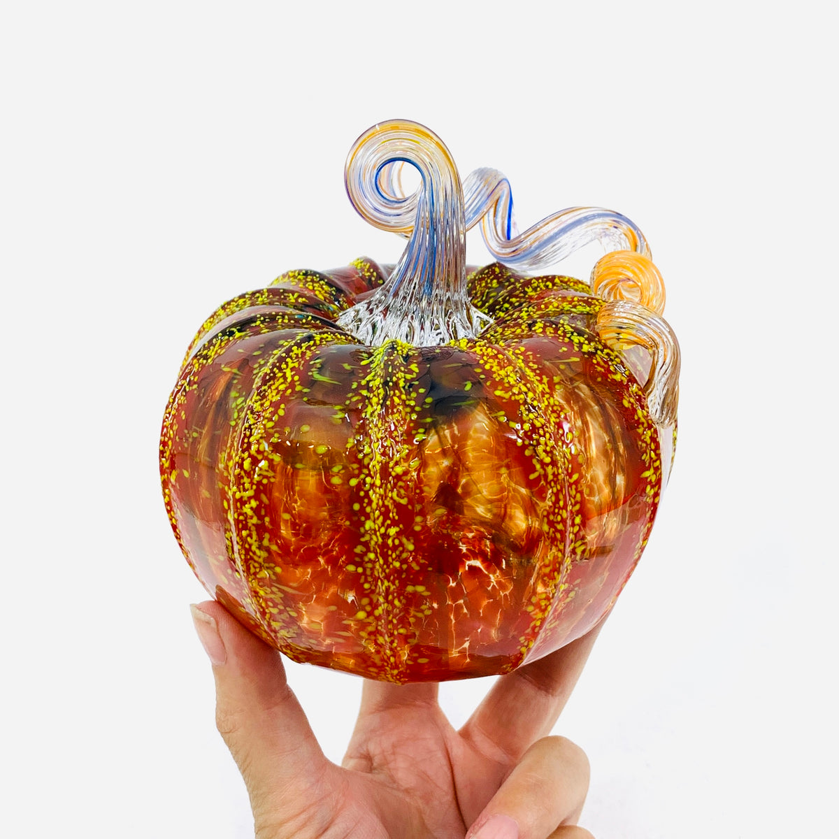 Daily Pumpkin 3199 Fall Squat