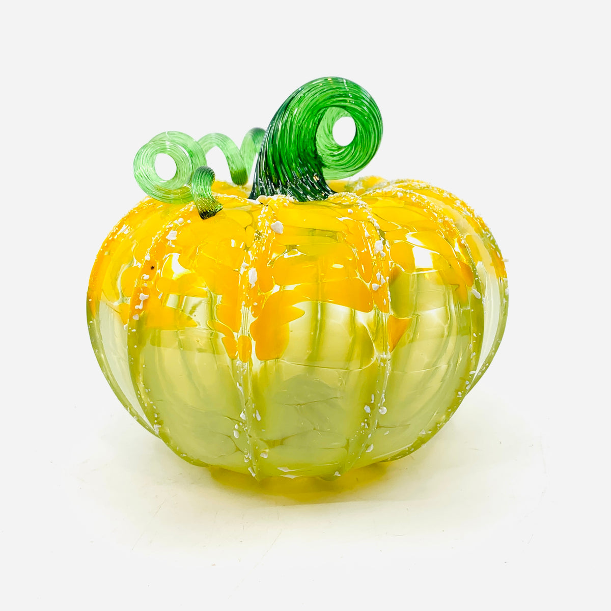 Daily Pumpkin 3739 Fall Squat